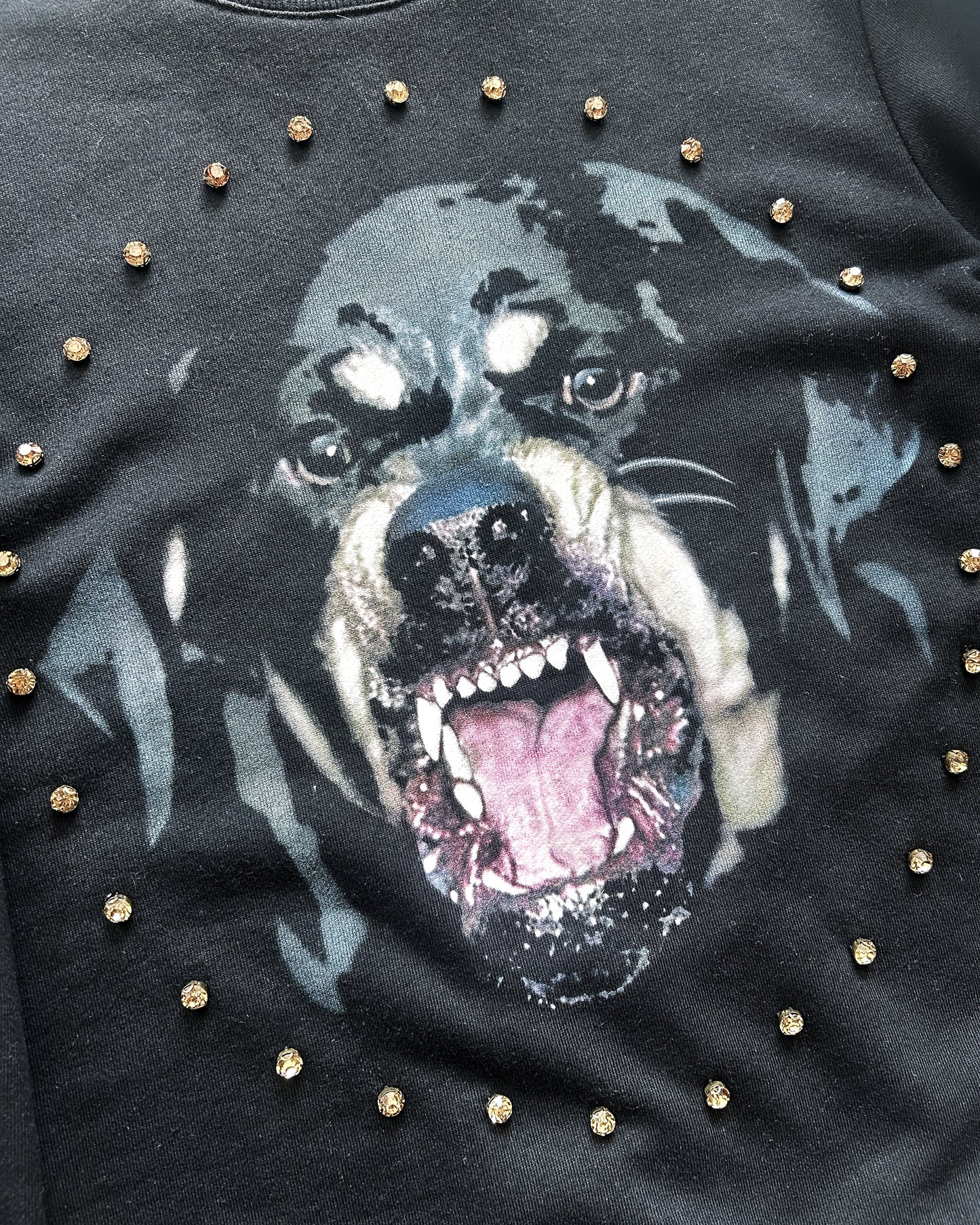 SS12 ROTTWEILER GEM SWEATER