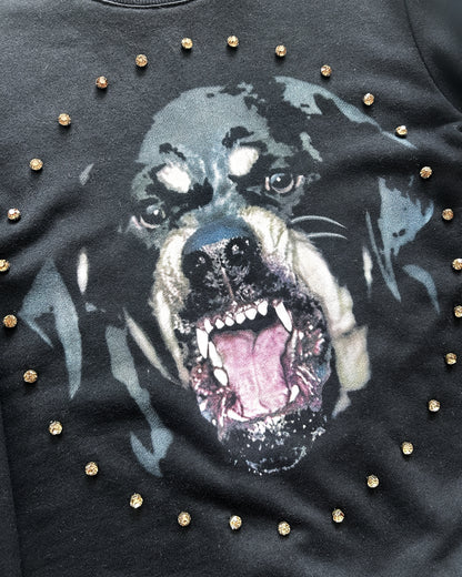 SS12 ROTTWEILER GEM SWEATER