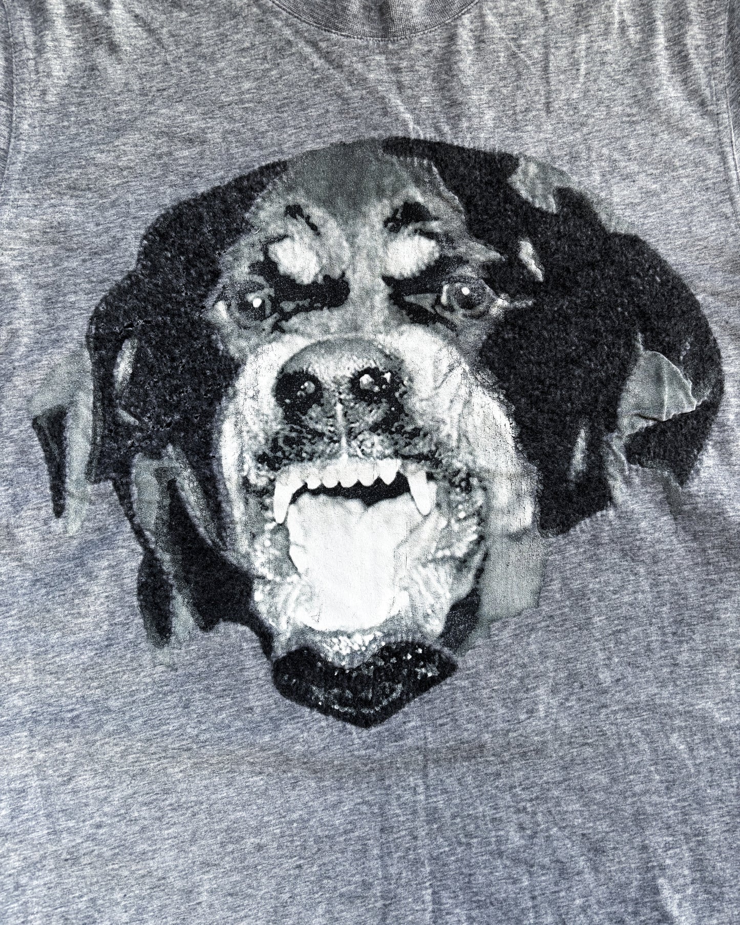 SS16 GREY ROTTWEILER TSHIRT