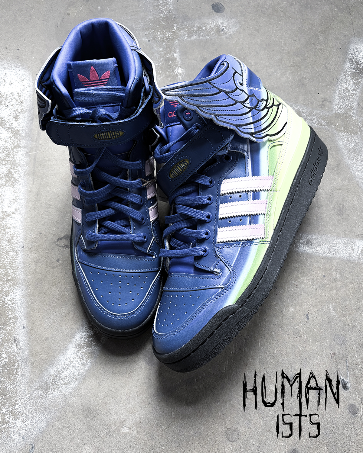 MOTORSPORT WINGS 4.0